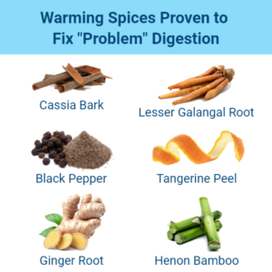 Integrative Digestive Formula Review: A Lifestyle-Focused Look at Everyday Digestive Comfort