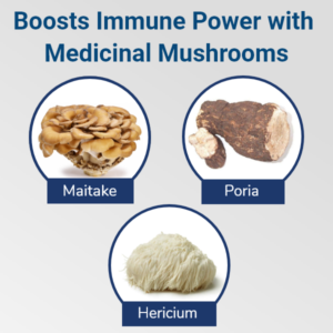 Integrative Digestive Formula Review: A Lifestyle-Focused Look at Everyday Digestive Comfort